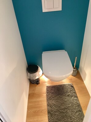 Ein kleines Badezimmer mit Toilette, Mülleimer und Fußmatte.