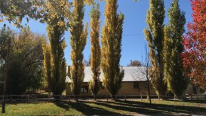A building with a sloped roof, surrounded by trees with autumn foliage. - Hollyhock House in Spring City (Spring City)
