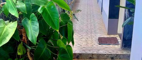 A covered corridor with potted plants on one side and a tiled floor.