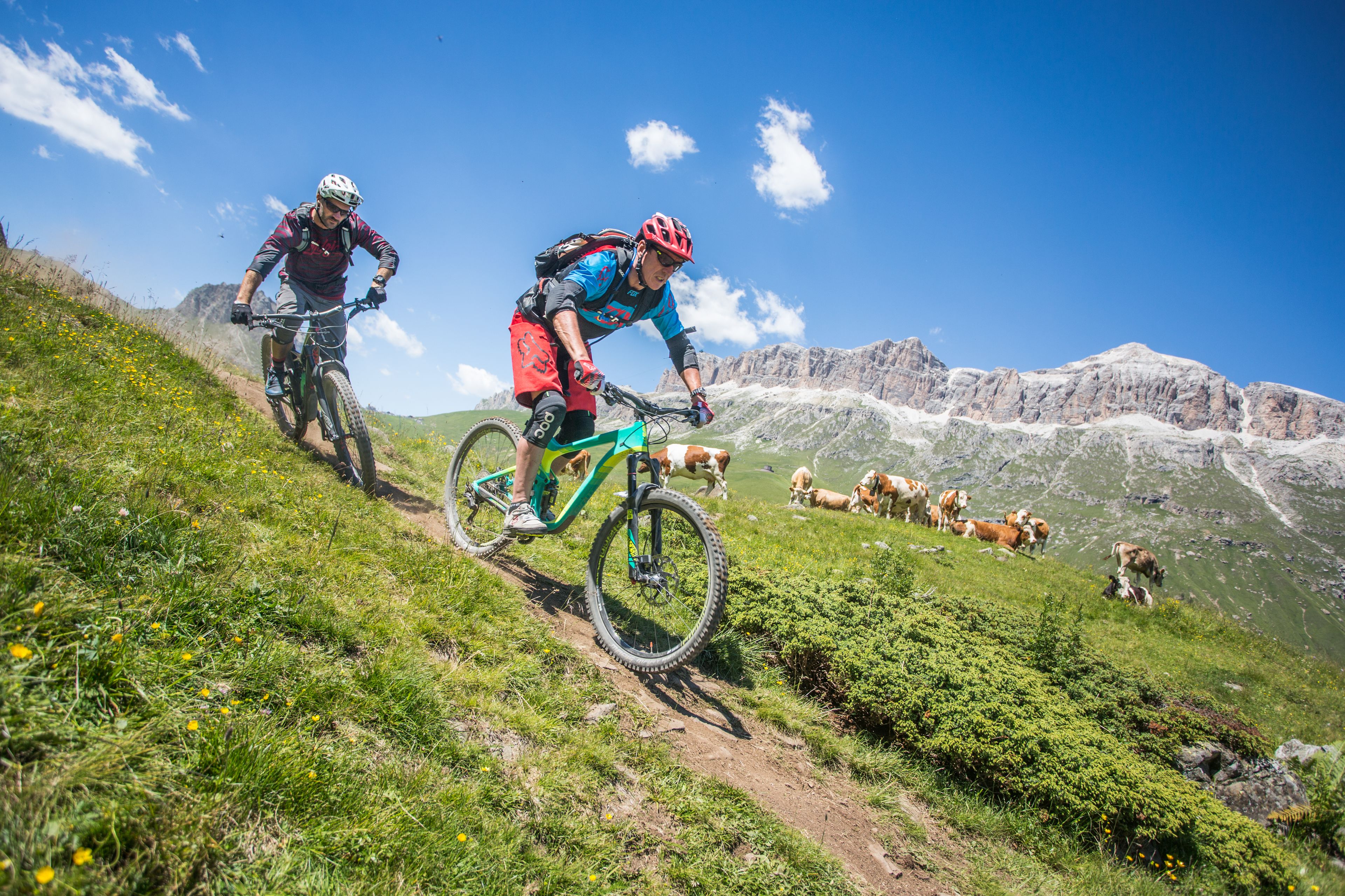 Two mountain bikers on a trail with a mountainous backdrop.
