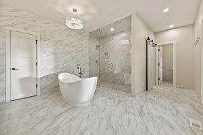Combined shower/tub, hair dryer, towels