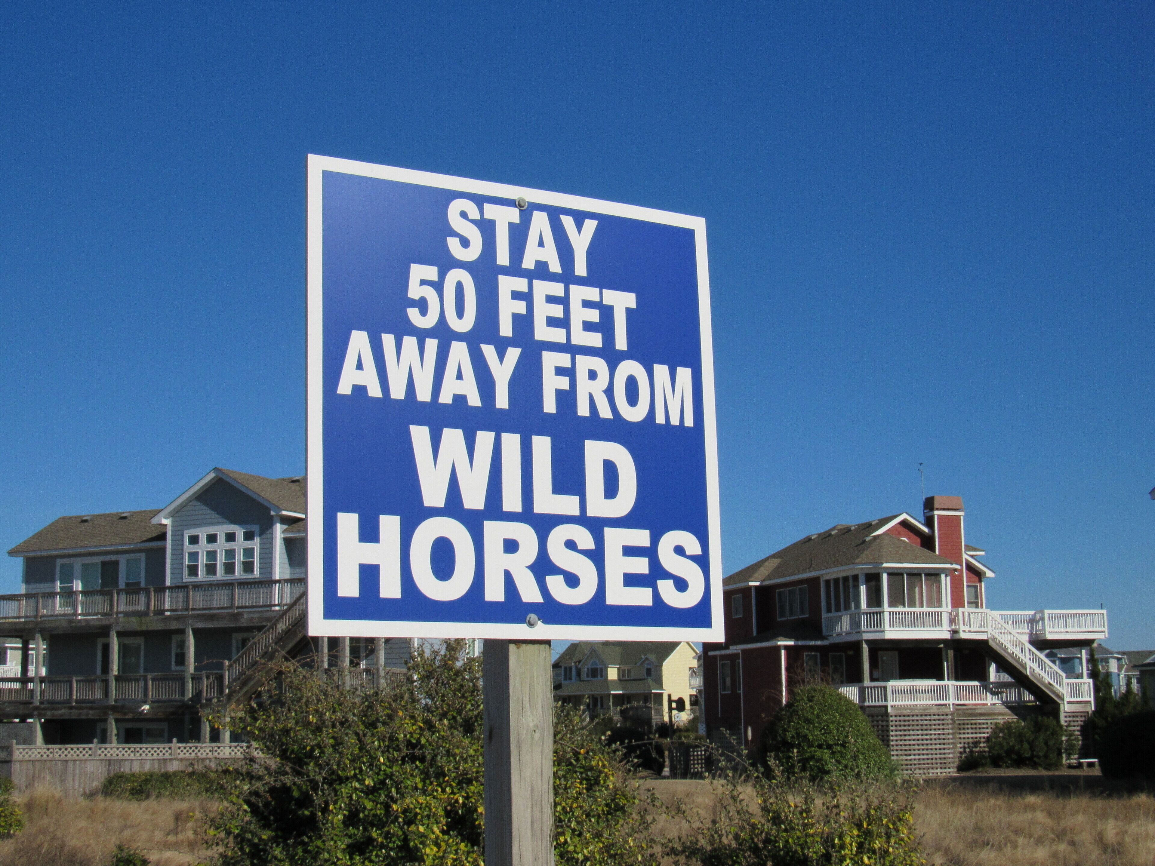 Een bord met de tekst: houd minimaal vijftig voet afstand van wilde paarden.