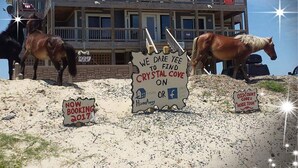 A large, multi-story building with a balcony, surrounded by horses. Signs indicate a booking available for 2017 and a discount code for a horse tour. - FamilyMemoryMaker!,8 MASTERS,MovieRoom,OceanViews,Pool,HotTub,Grill,StarlinkWiFi (Corolla)