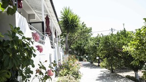 A white building with balconies, surrounded by lush greenery and flowering plants.