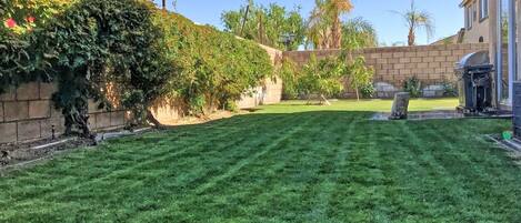 Overnatningsstedets område