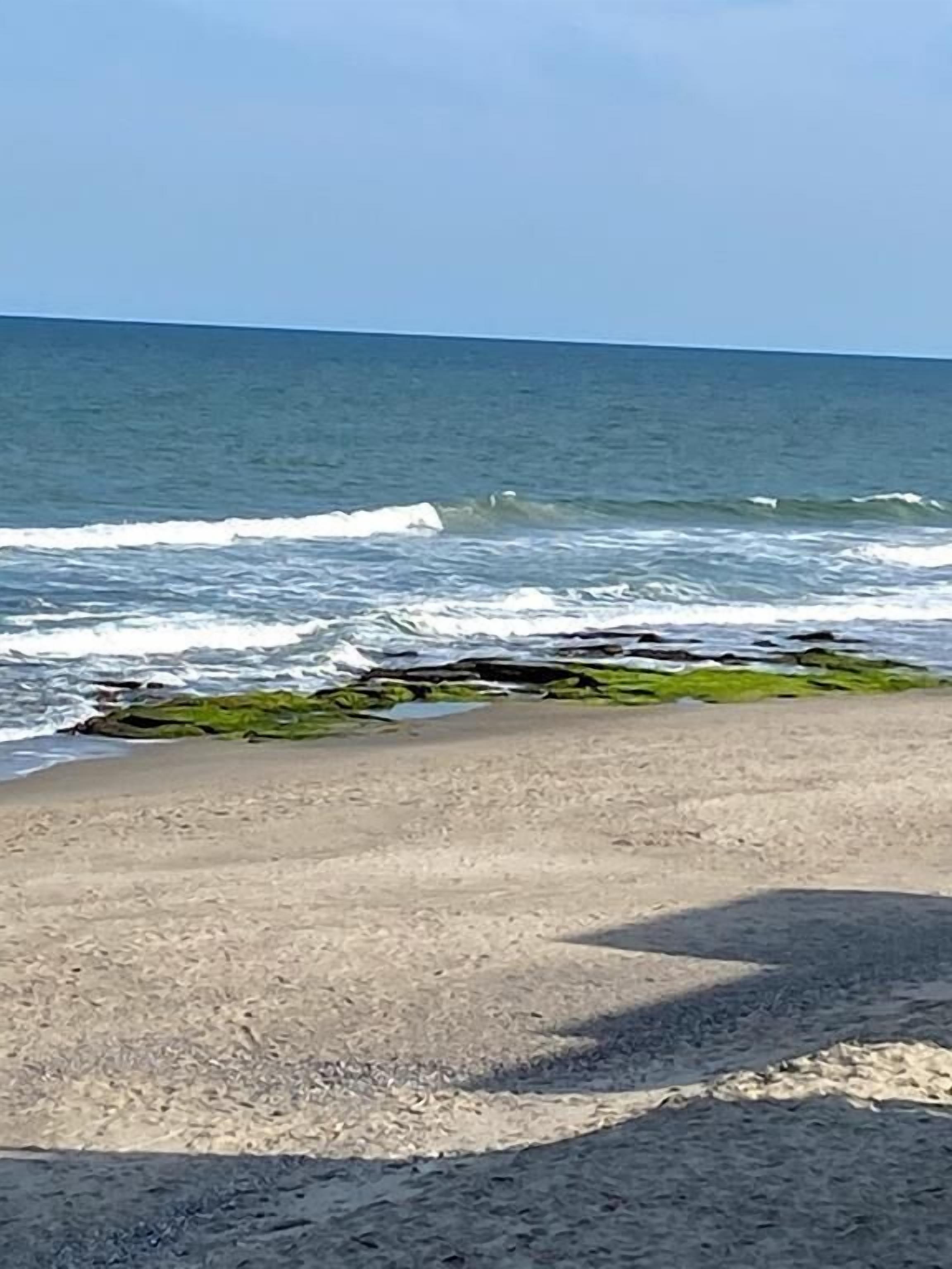 Una playa con olas rompiendo en la orilla y un cielo despejado.