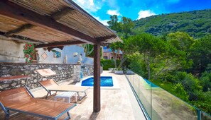 Pool - Beautiful VILLA BACCO with stunning sea view, pool, garden and terrace (Massa Lubrense)