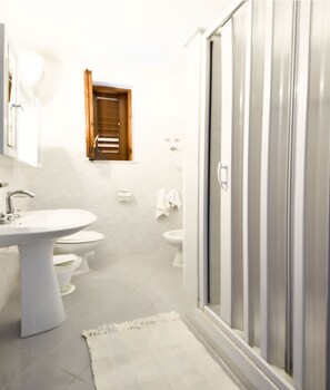 Shower, hair dryer, bidet, towels