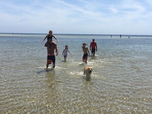 Plage à proximité