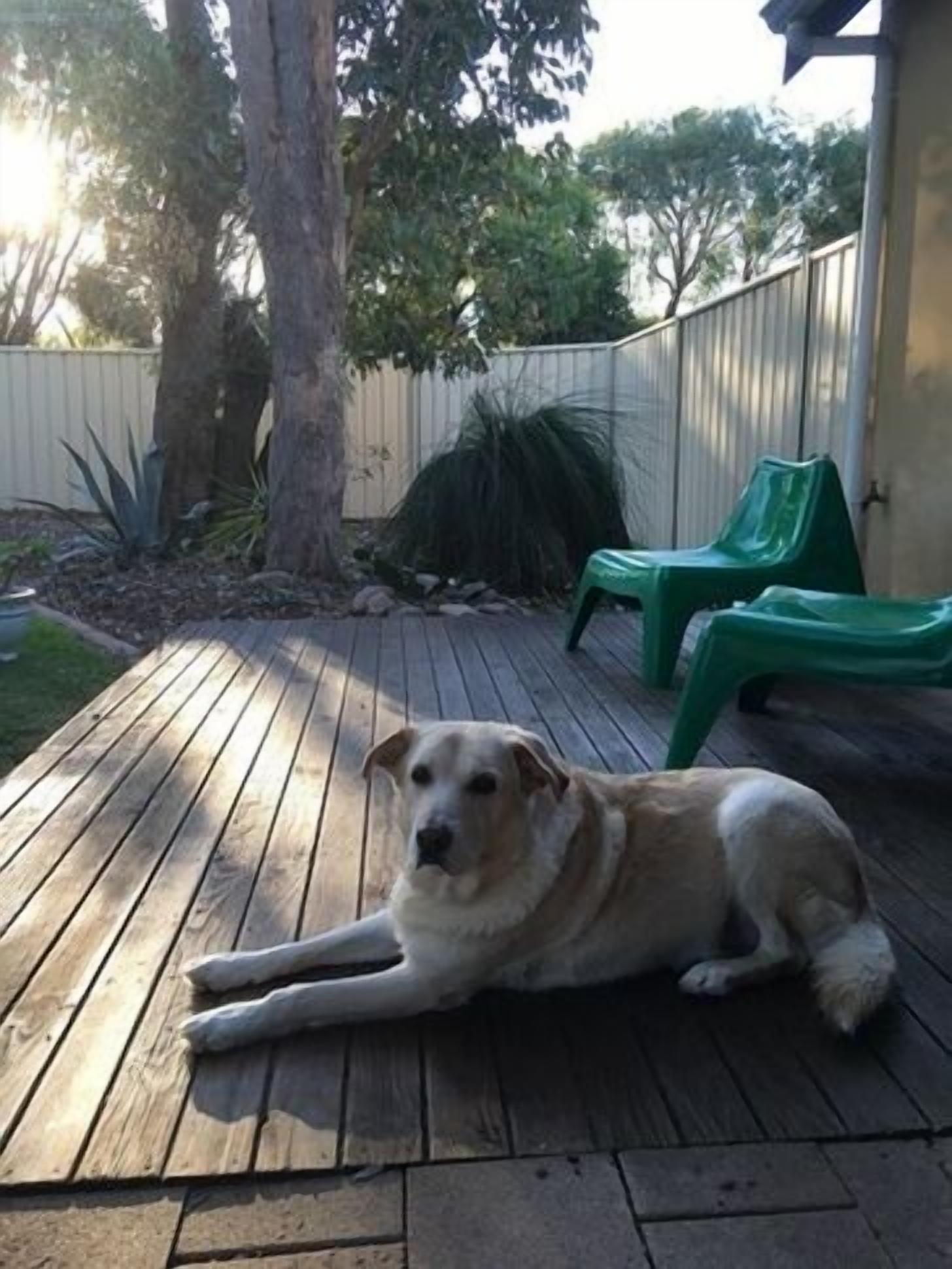 Amazing LOCATION! Only a 2 minute walk to both the beach and heart of town. — image 3