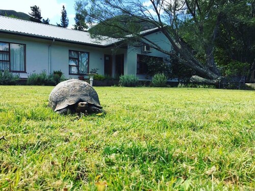 Baviaanskloof Lodge - Ihr Tor zum Baviaanskloof
