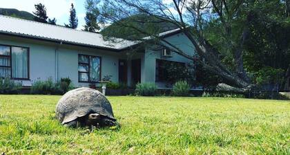 Baviaanskloof Lodge - Ihr Tor zum Baviaanskloof