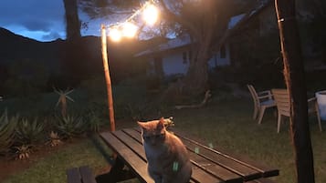 室外用餐
