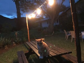 Servei de restauració a l'aire lliure