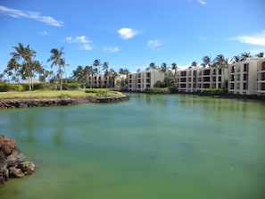 Un resort con una piscina amplia, palmeras y un cielo azul despejado.
