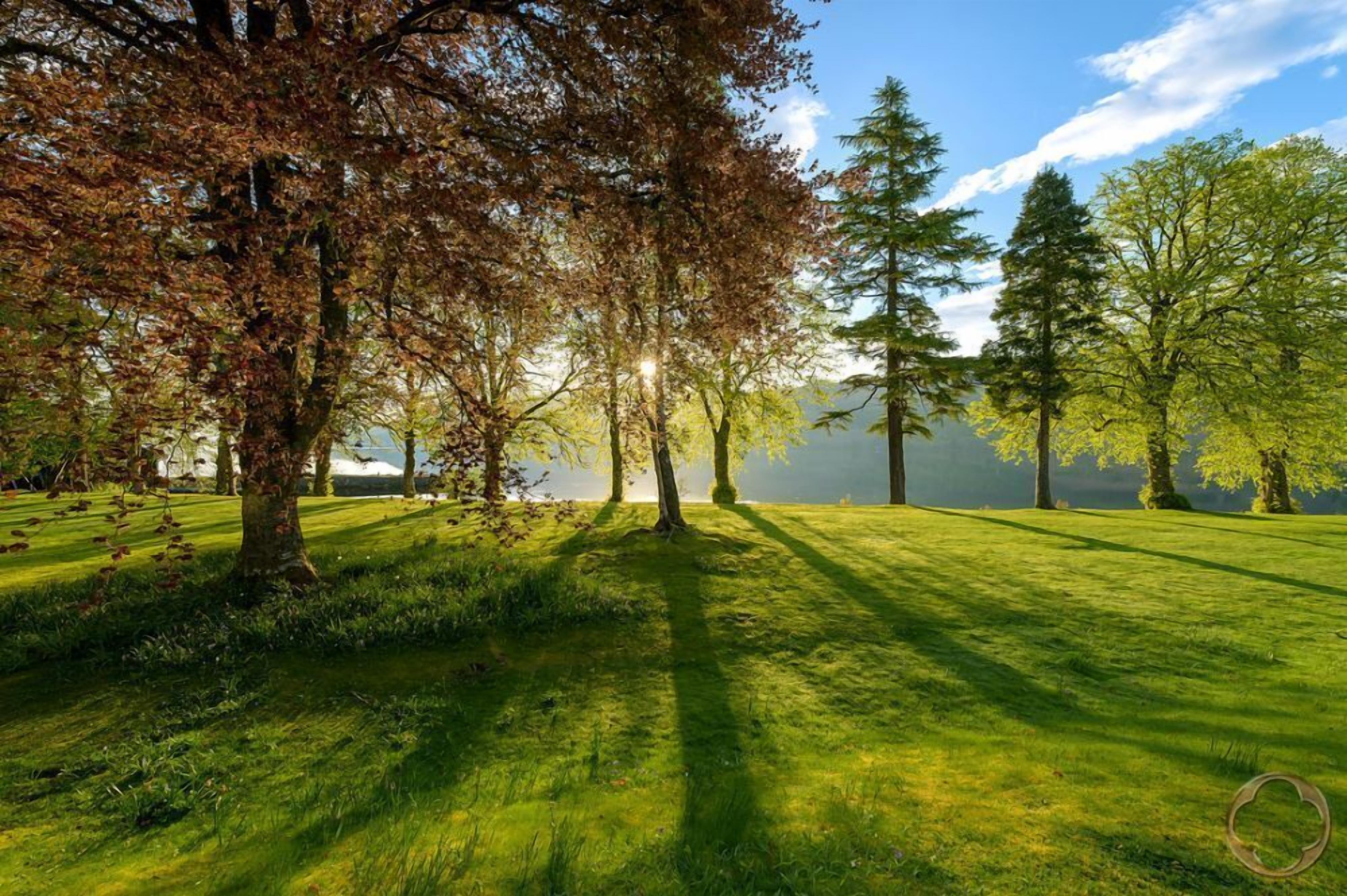 Een park met een gazon, bomen en een stuk water op de achtergrond.