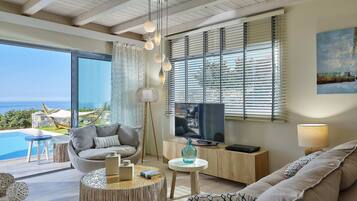 Een smart-tv, een dvd-speler, boeken en een muziekbibliotheek