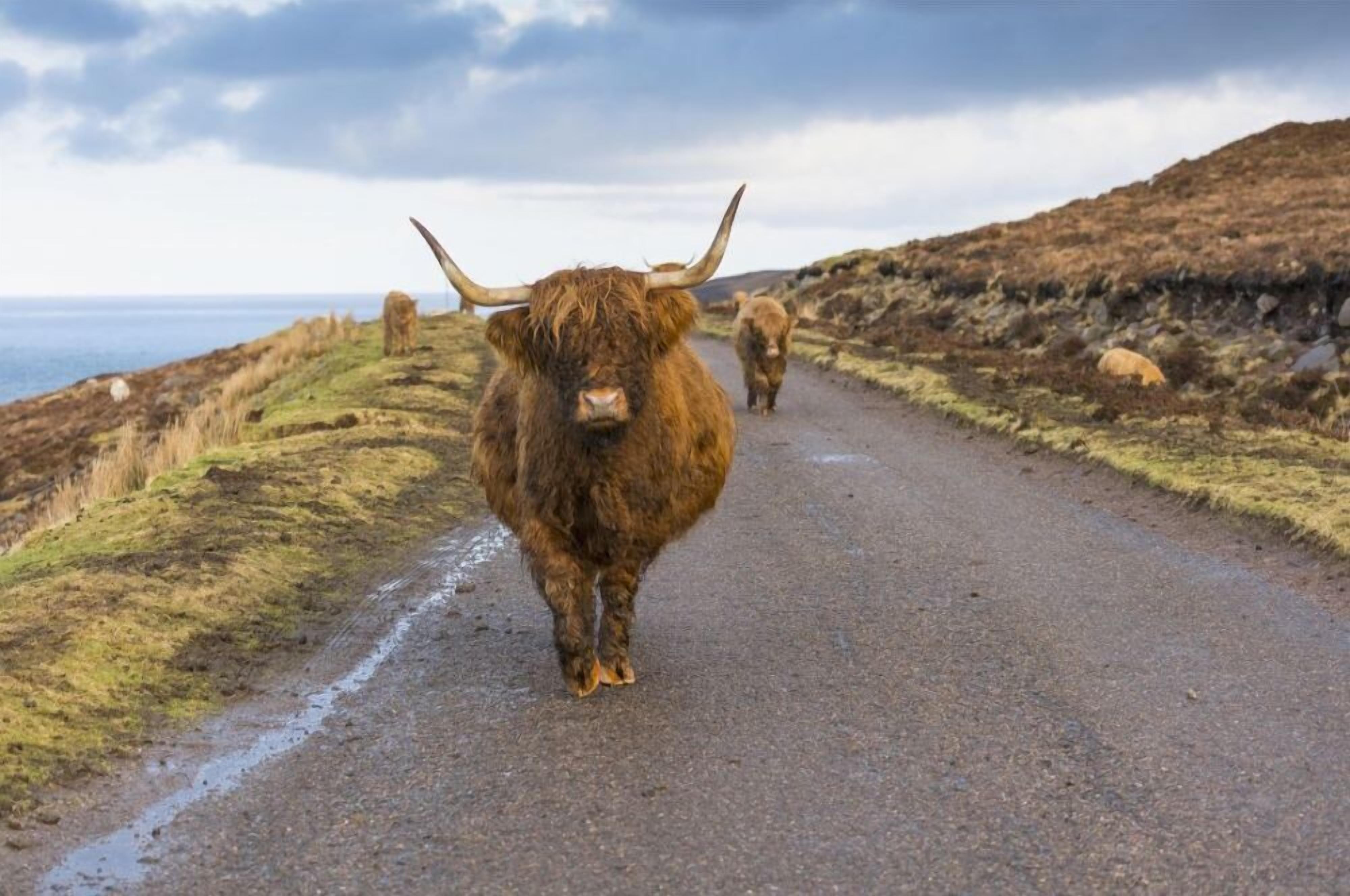 Luxury self catering cottage with swimming pool in the grounds of a Monastery on Loch Ness - Fort Augustus | Vrbo