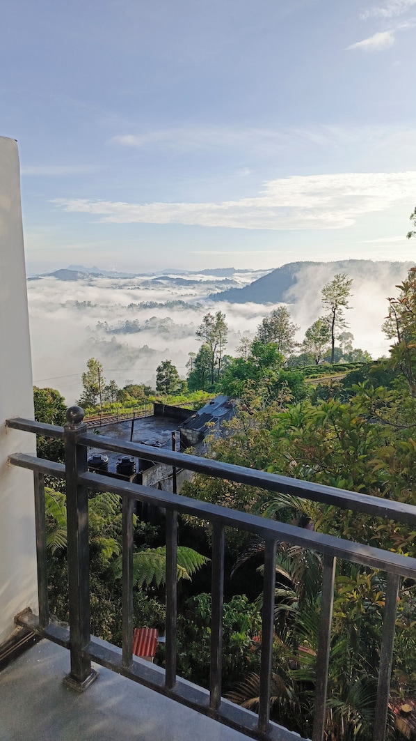 55-英寸纯平电视 (配备有线频道)、电视