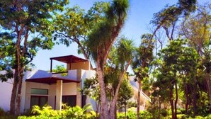 Un bâtiment moderne doté d’un toit plat, entouré d’une végétation luxuriante et de grands arbres.