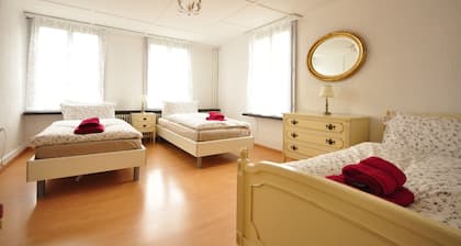 Newly Renovated 4 bedroom apartment. 3 mins to Interlaken. Sleeps 12. Balcony