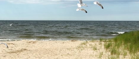 Vlak bij het strand, strandlakens