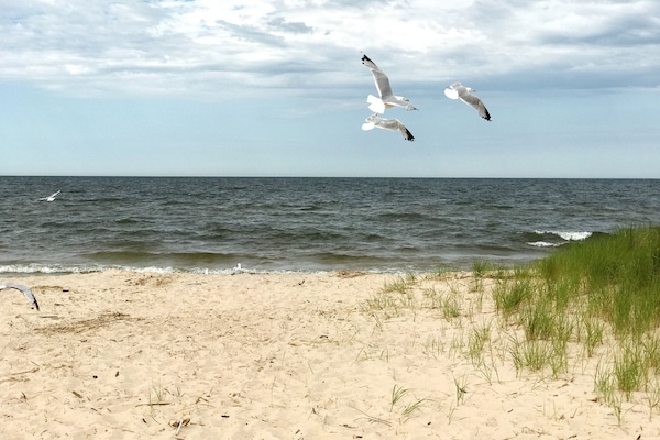 Plage à proximité, serviettes de plage