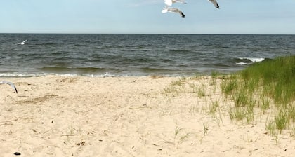 Miner-Close to Beach, Lk Michigan, Fishing, Biking, Pet, Fenced Yard, EV