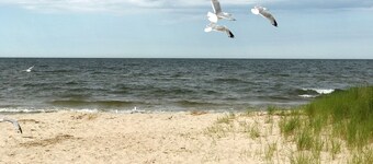 Miner-Close to Beach, Lk Michigan, Fishing, Biking, Pet, Fenced Yard, EV