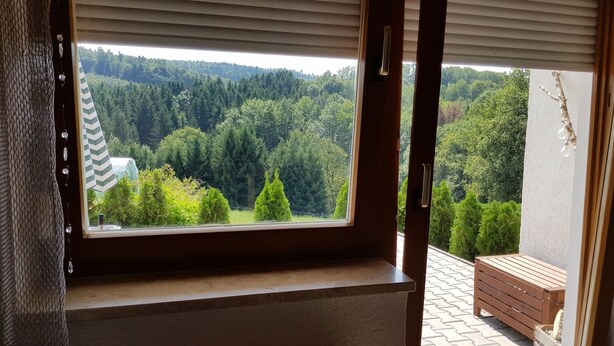 A window with a view of a forested hillside. - Apartment Betula, near Pullman City in the district of Passau in the Bavarian Forest (Fürstenstein)