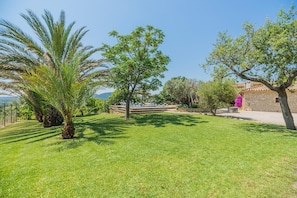 A well-maintained grassy area with palm trees and a stone building with a tiled roof.