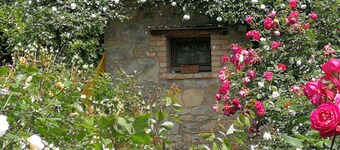 Ca 'Minù in den Prosecco Hügeln, Klima, Wi-Fi, Haustiere willkommen, Rosengarten