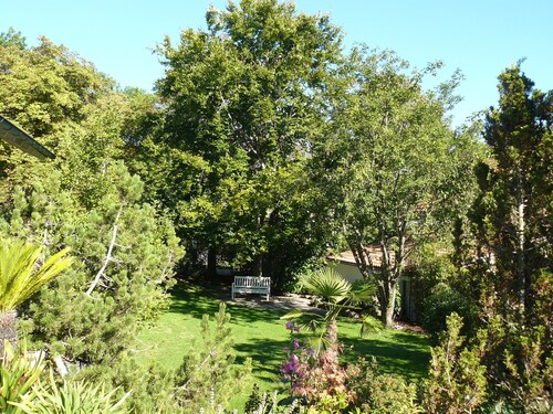 Haus Ahorn *** comfortable 1-room apartment for non-smokers