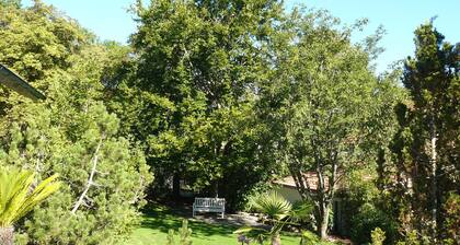 Haus Ahorn *** comfortable 1-room apartment for non-smokers