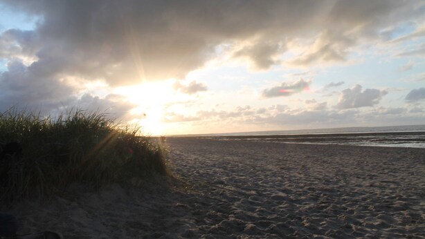 A beach with sand and grass, with the sun setting or rising behind clouds. - Apartment seal (Wangerland)