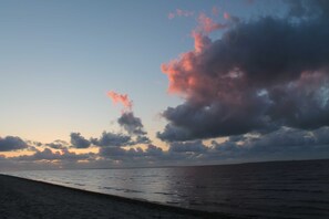 Beach nearby - Apartment seal (Wangerland)