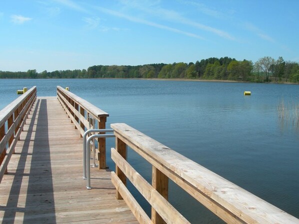 Unclassified image, 1 of 14, button