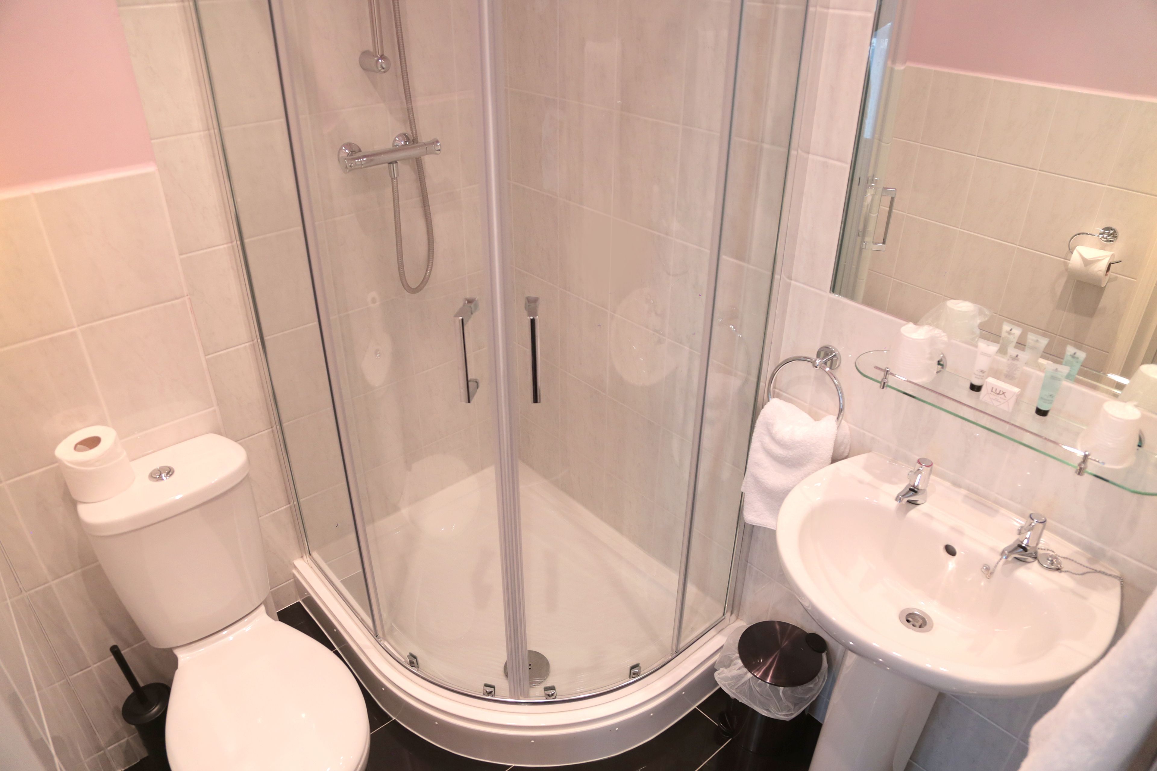 hair dryer, towels, toilet paper