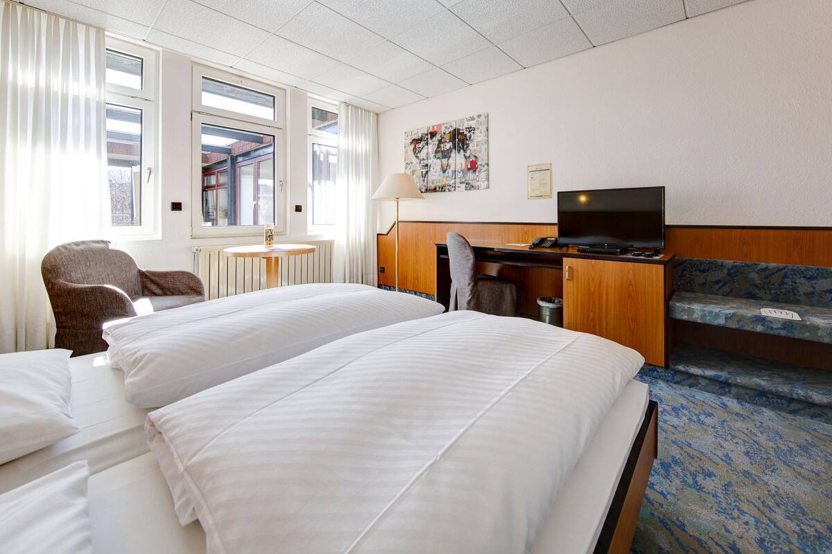 Basic Double Room | Desk, rollaway beds, free WiFi, bed sheets