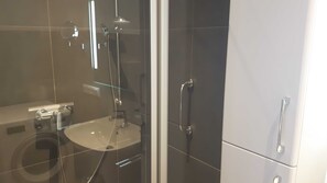 Shower, hair dryer, toilet paper