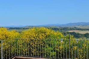 Enjoy breathtaking views of rolling hills and a vibrant field of flowers from this balcony.