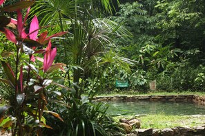A pond surrounded by lush greenery and a sign indicating a depth of 1.10 meters. - Pousada Éden Águas Termais (Colinas do Sul)
