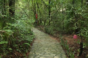 Hiking - Pousada Éden Águas Termais (Colinas do Sul)