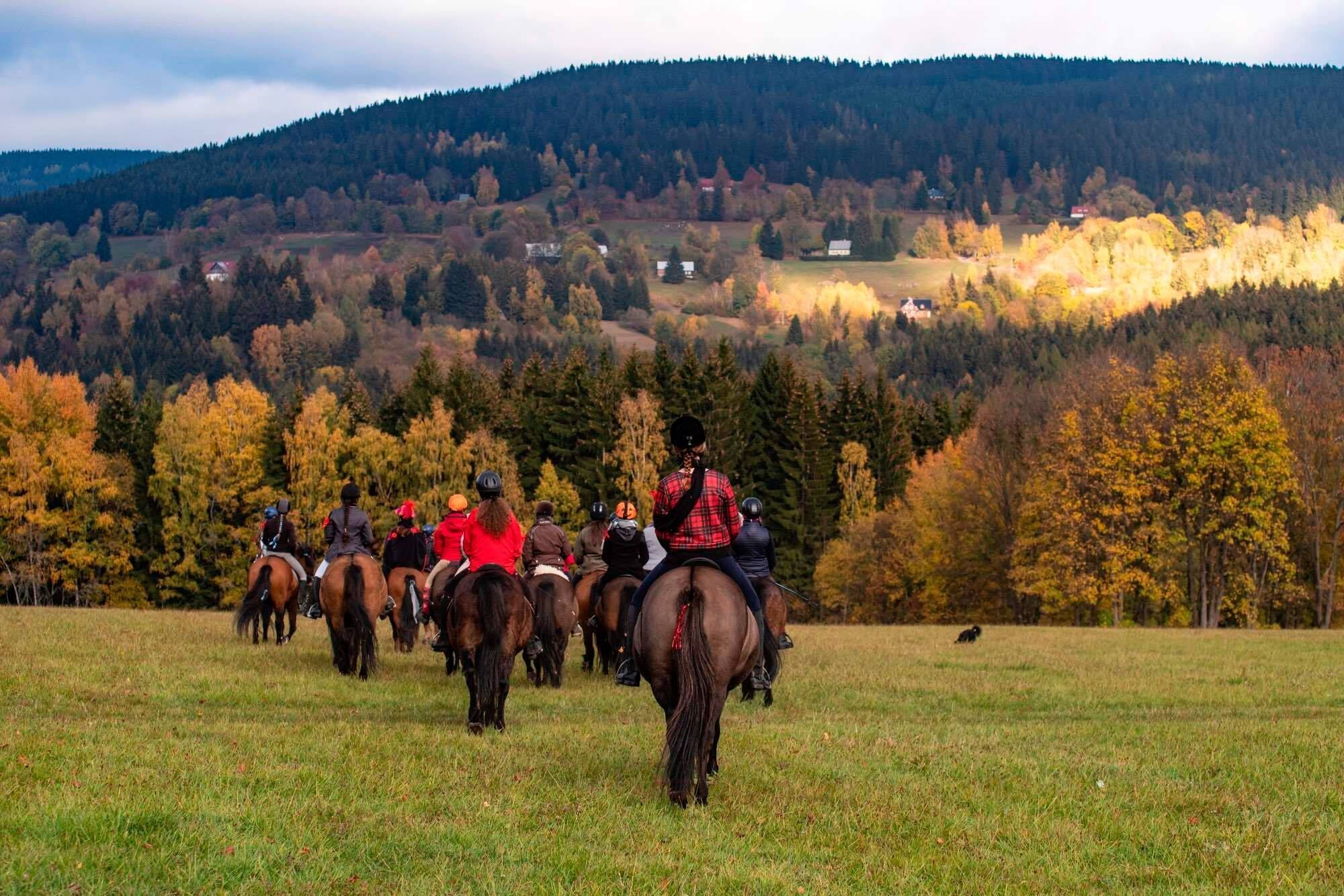 A group of people riding horses in a grassy field with a forested hill in the background.