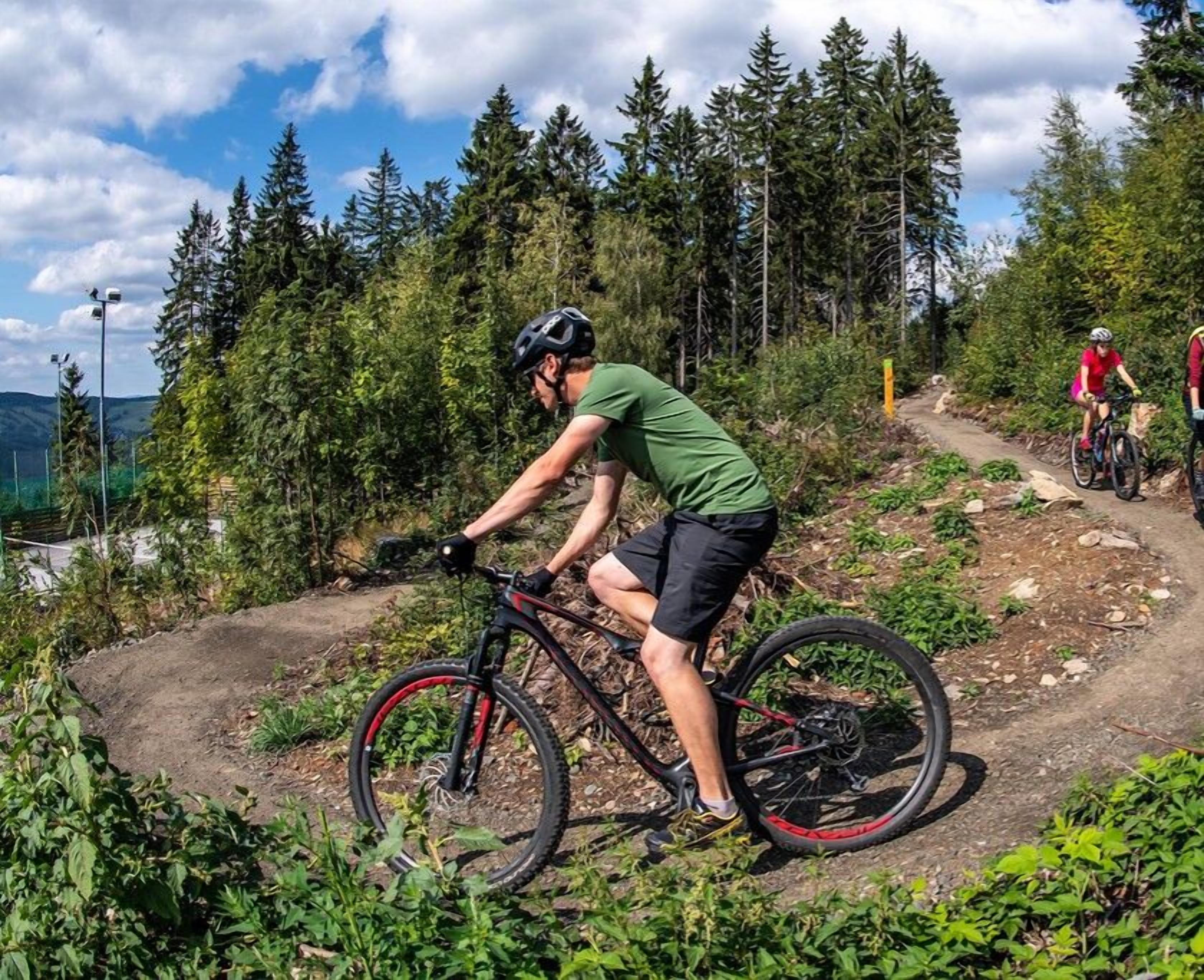 A person riding a mountain bike on a dirt trail surrounded by dense forest.