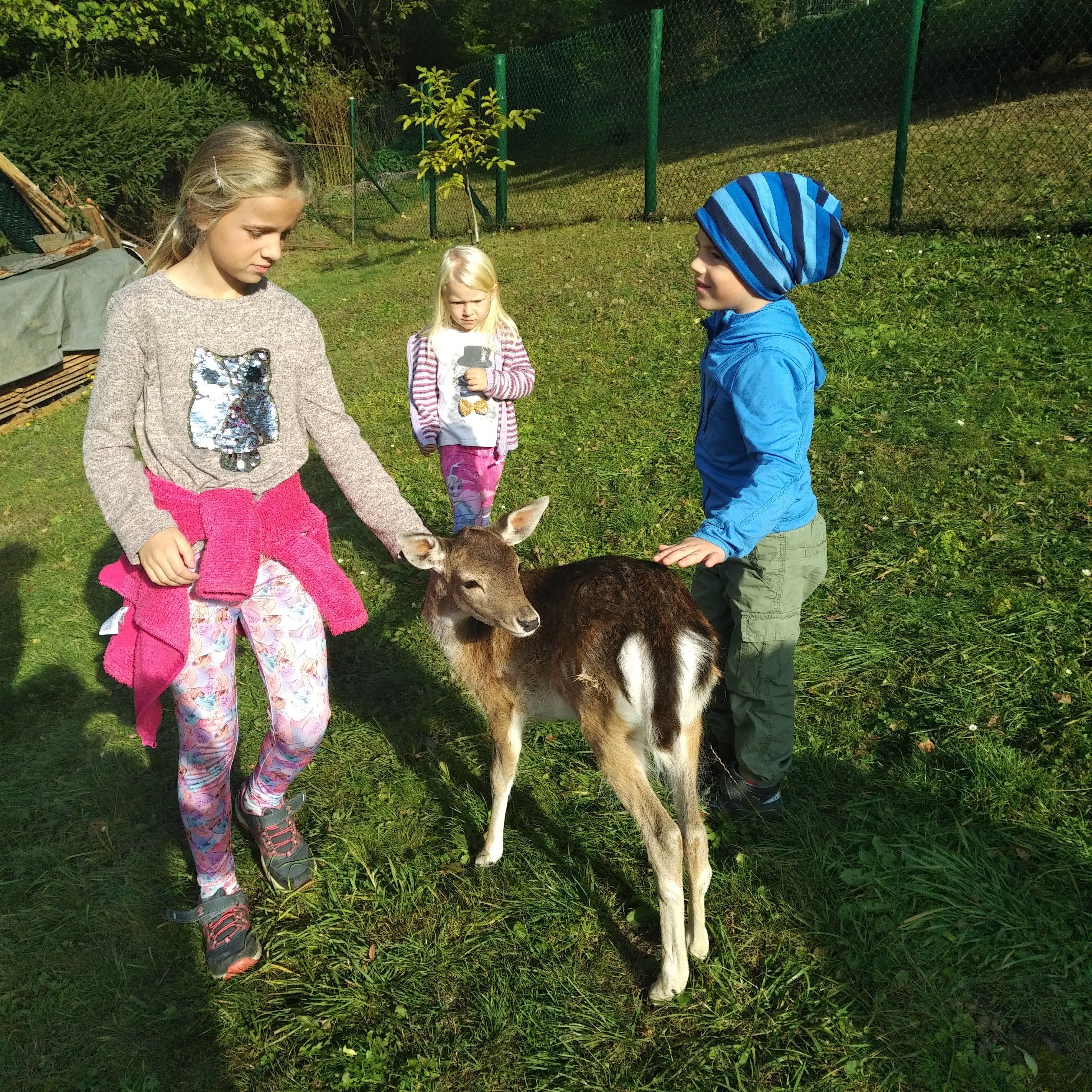 Økoturer