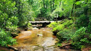 A natural stream with a wooden bridge and lush greenery. - Creek-front Cabin on Wooded Acres (Sugar Grove)