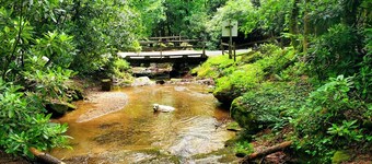 Creek-front Cabin on Wooded Acres