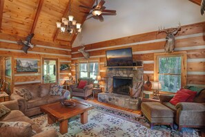 TV, fireplace, video games, DVD player