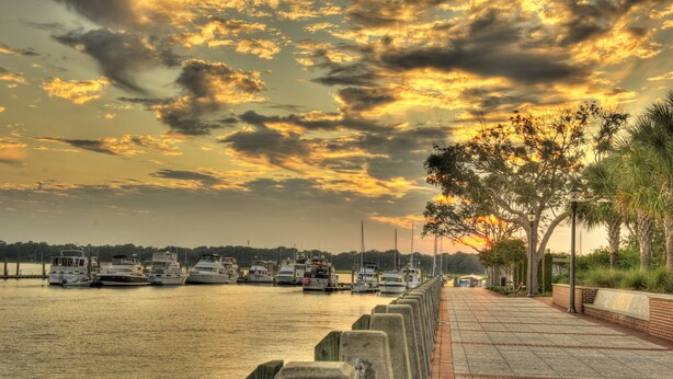 A waterfront marina with boats docked along a paved walkway lined with trees. - Renovated and walking distance to Downtown  (Beaufort)